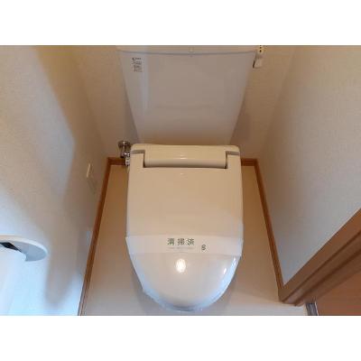 フィオーレ 203【管理NO：1-013633401-02030】 ★家具家電は申し込み後に搬入します★ ★2026年10月中旬入居可能★の物件画像