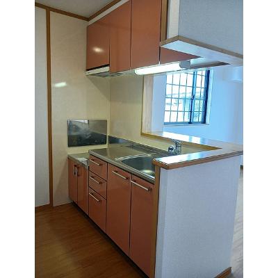 レーヴ 201【管理NO：1-013146201-02010】 ★家具家電は申し込み後に搬入します★の物件画像