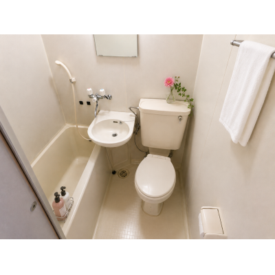 🌹WIFI無料！京成金町徒歩6分！202号室 HM45🌹の物件画像
