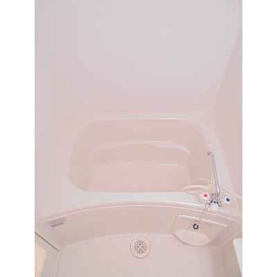 フィオレット立戸 203【管理NO：1-013649301-02030】 ★家具家電は申し込み後に搬入します★ ★2026年10月上旬入居可能★の物件画像