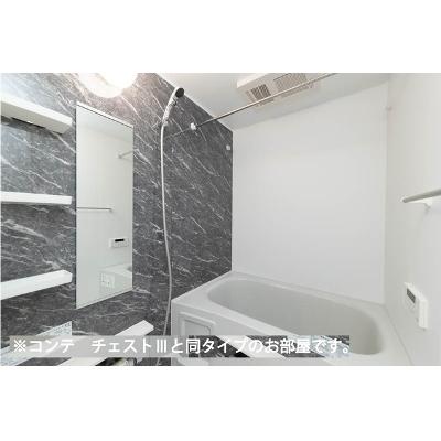 ヒカルサさいたまサクラ 204【管理NO：1-028559601-02040】 ★家具家電は申し込み後に搬入します★ ★2026年10月下旬入居可能★の物件画像