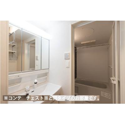 ヒカルサさいたまサクラ 204【管理NO：1-028559601-02040】 ★家具家電は申し込み後に搬入します★ ★2026年10月下旬入居可能★の物件画像