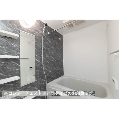 ヒカルサさいたまサクラ 104【管理NO：1-028559601-01040】 ★家具家電は申し込み後に搬入します★ ★2026年10月下旬入居可能★の物件画像