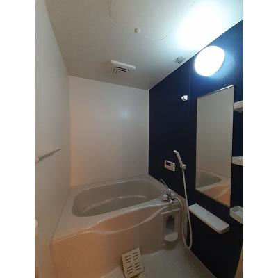フェリーチェ 203【管理NO：1-018560001-02030】 ★家具家電は申し込み後に搬入します★ ★2026年10月中旬入居可能★の物件画像