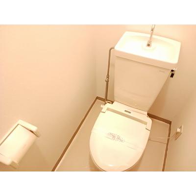 コーポラスさつき 202【管理NO：1-007104501-02020】 ★家具家電は申し込み後に搬入します★ ★2026年10月中旬入居可能★の物件画像