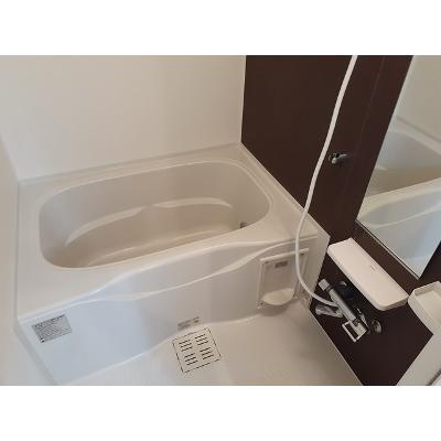 ドムス　プールス 101【管理NO：1-021006801-01010】 ★家具家電は申し込み後に搬入します★ ★2026年10月上旬入居可能★の物件画像