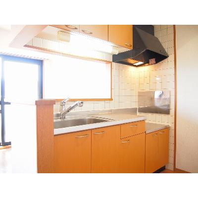 セルフィ・Ｔ 303【管理NO：1-011162601-03030】 ★家具家電は申し込み後に搬入します★ ★2026年10月中旬入居可能★の物件画像