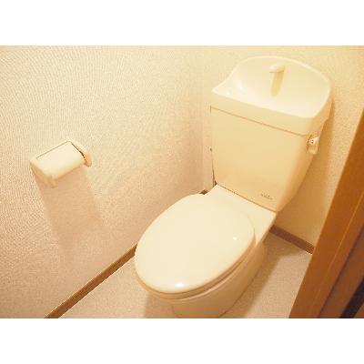 セルフィ・Ｔ 303【管理NO：1-011162601-03030】 ★家具家電は申し込み後に搬入します★ ★2026年10月中旬入居可能★の物件画像