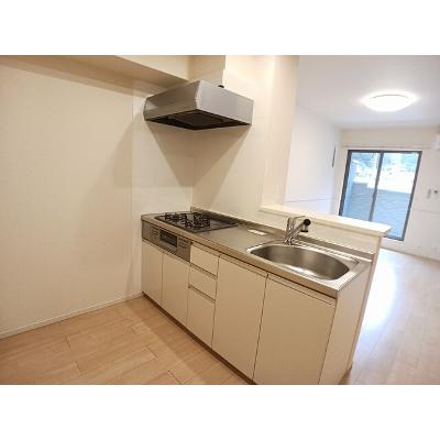 カルセドニー 205【管理NO：1-025072901-02040】 ★家具家電は申し込み後に搬入します★の物件画像