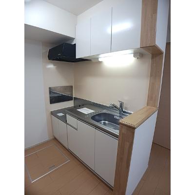 ＲＥＶＥ 101【管理NO：1-020888701-01010】 ★家具家電は申し込み後に搬入します★の物件画像