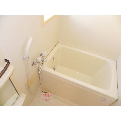 カーサ・セレノ 201【管理NO：1-011887501-02010】 ★家具家電は申し込み後に搬入します★ ★2026年10月下旬入居可能★の物件画像