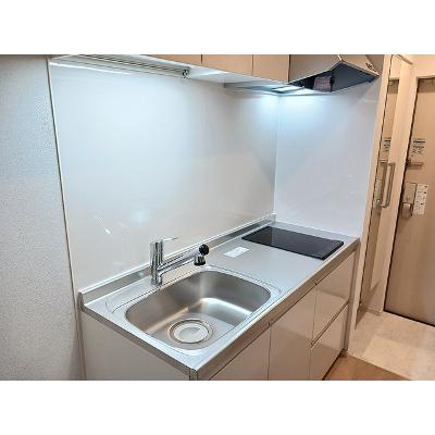ヒカルサさいたま吉野 203【管理NO：1-028634301-02030】 ★家具家電は申し込み後に搬入します★の物件画像
