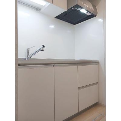 ラフィーネＥⅢ 106【管理NO：1-027106101-01050】 ★家具家電は申し込み後に搬入します★の物件画像