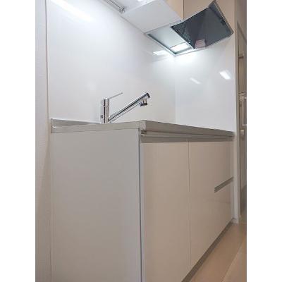 ヒカルサ静岡春日町 207【管理NO：1-028508701-02060】 ★家具家電は申し込み後に搬入します★の物件画像