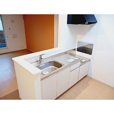 ピース　マインド 201【管理NO：1-019313101-02010】 ★家具家電は申し込み後に搬入します★の物件画像