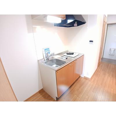 ラ・コルタ 106【管理NO：1-013525001-01050】 ★家具家電は申し込み後に搬入します★の物件画像