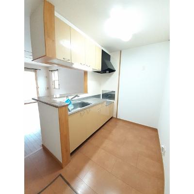 プラシード参番館 101【管理NO：1-013835303-01010】 ★家具家電は申し込み後に搬入します★ ★2026年10月中旬入居可能★の物件画像