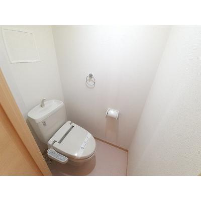 カーサ　ビータス 304【管理NO：1-016194201-03040】 ★家具家電は申し込み後に搬入します★の物件画像