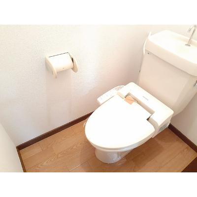 エクセルハイツ 202【管理NO：1-003872701-02020】 ★家具家電は申し込み後に搬入します★ ★2026年10月中旬入居可能★の物件画像