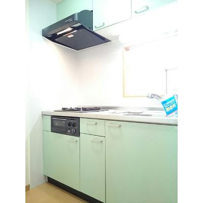 プレ・アビタシオン春日部Ⅱ 702【管理NO：1-014842801-07020】 ★家具家電は申し込み後に搬入します★ ★2026年10月中旬入居可能★の物件画像