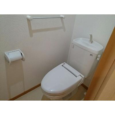 ポライトリー 203【管理NO：1-014983201-02030】 ★家具家電は申し込み後に搬入します★ ★2026年10月中旬入居可能★の物件画像