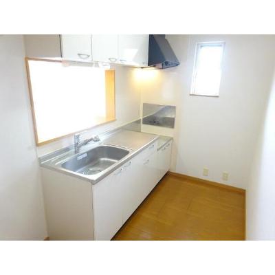 カーサ　みずほ 203【管理NO：1-013850501-02030】 ★家具家電は申し込み後に搬入します★ ★2026年10月中旬入居可能★の物件画像