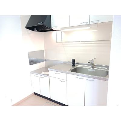 ミルキーⅢ 101【管理NO：1-015172402-01010】 ★家具家電は申し込み後に搬入します★の物件画像