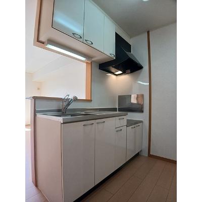 Ｍフラン 103【管理NO：1-014667501-01030】 ★家具家電は申し込み後に搬入します★の物件画像
