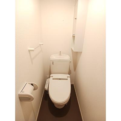 マイクレインＤ 103【管理NO：1-017237904-01030】 ★家具家電は申し込み後に搬入します★の物件画像