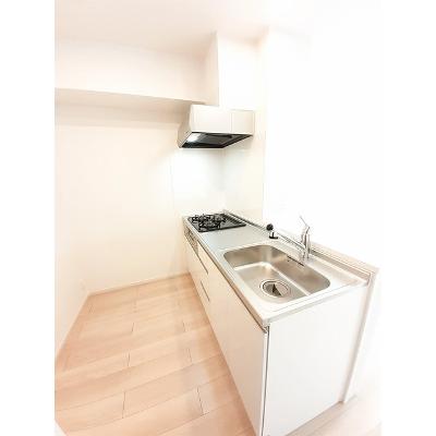 リュート 203【管理NO：1-026304001-02030】 ★家具家電は申し込み後に搬入します★の物件画像
