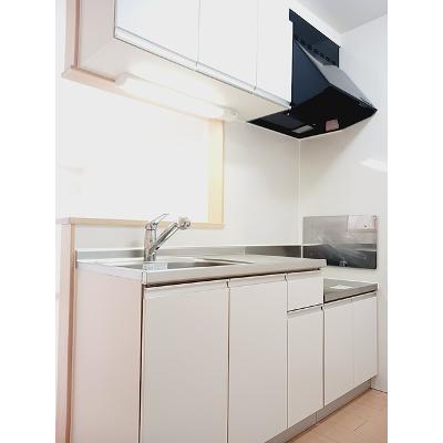 ストリーム　パル 102【管理NO：1-017498301-01020】 ★家具家電は申し込み後に搬入します★の物件画像