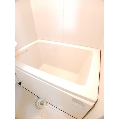 スマイルジョイ 202【管理NO：1-003399501-02020】 ★家具家電は申し込み後に搬入します★の物件画像
