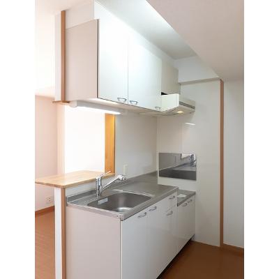 グレース三谷東 507【管理NO：1-014066201-05060】 ★家具家電は申し込み後に搬入します★ ★2026年10月下旬入居可能★の物件画像