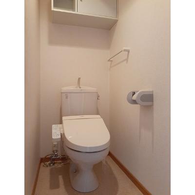 グレース三谷東 507【管理NO：1-014066201-05060】 ★家具家電は申し込み後に搬入します★ ★2026年10月下旬入居可能★の物件画像