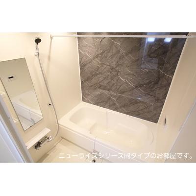 グランシャルム 105【管理NO：1-028754201-01050】 ★家具家電は申し込み後に搬入します★ ★2027年01月下旬入居可能★の物件画像