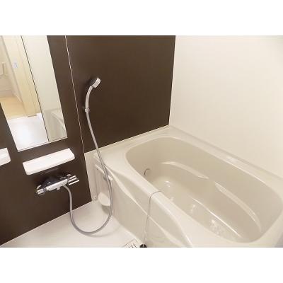 メゾンド　シュシュ　セントラル 203【管理NO：1-023803001-02030】 ★家具家電は申し込み後に搬入します★ ★2026年10月中旬入居可能★の物件画像