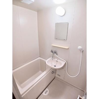 シティハイツ白石 203【管理NO：1-000581101-02030】 ★家具家電は申し込み後に搬入します★ ★2026年10月中旬入居可能★の物件画像