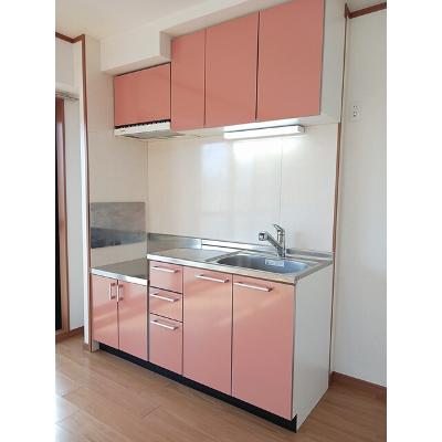 スカイマンション 201【管理NO：1-013127801-02010】 ★家具家電は申し込み後に搬入します★の物件画像