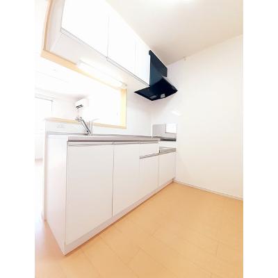 リバーサイド・ルミネⅠ 202【管理NO：1-019391801-02020】 ★家具家電は申し込み後に搬入します★ ★2026年10月中旬入居可能★の物件画像