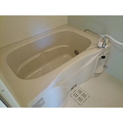 スターブル 204【管理NO：1-018543701-02040】 ★家具家電は申し込み後に搬入します★ ★2026年09月下旬入居可能★の物件画像