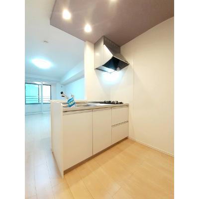 ドルフ 205【管理NO：1-024789801-02040】 ★家具家電は申し込み後に搬入します★の物件画像