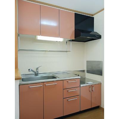 ヴィラージュ　ＭＫ 201【管理NO：1-013004201-02010】 ★家具家電は申し込み後に搬入します★の物件画像