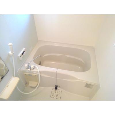 フォー・プレックス 202【管理NO：1-016361201-02020】 ★家具家電は申し込み後に搬入します★ ★2026年10月中旬入居可能★の物件画像