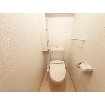 アステール　ホーラー 202【管理NO：1-016753201-02020】 ★家具家電は申し込み後に搬入します★の物件画像