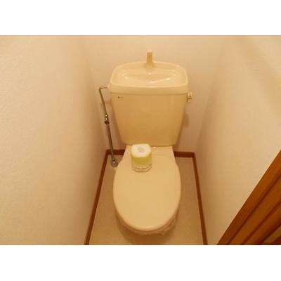 アヴェニール２１ 201【管理NO：1-007951101-02010】 ★家具家電は申し込み後に搬入します★ ★2026年10月中旬入居可能★の物件画像
