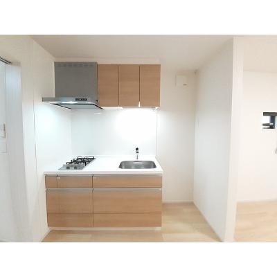 ラフィネ 102【管理NO：1-025829801-01020】 ★家具家電は申し込み後に搬入します★の物件画像