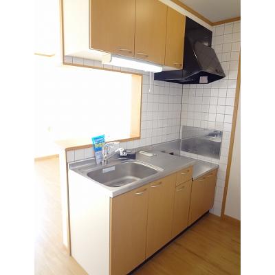 ルミナス藍住Ａ 202【管理NO：1-011845801-02020】 ★家具家電は申し込み後に搬入します★ ★2026年10月上旬入居可能★の物件画像