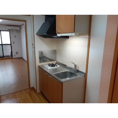 アウル 103【管理NO：1-013157001-01030】 ★家具家電は申し込み後に搬入します★の物件画像