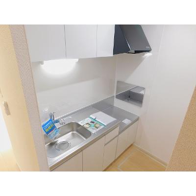 ピースリー 101【管理NO：1-023853801-01010】 ★家具家電は申し込み後に搬入します★の物件画像