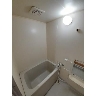 ニューシティリトルパイン 203【管理NO：1-004258601-02030】 ★家具家電は申し込み後に搬入します★の物件画像